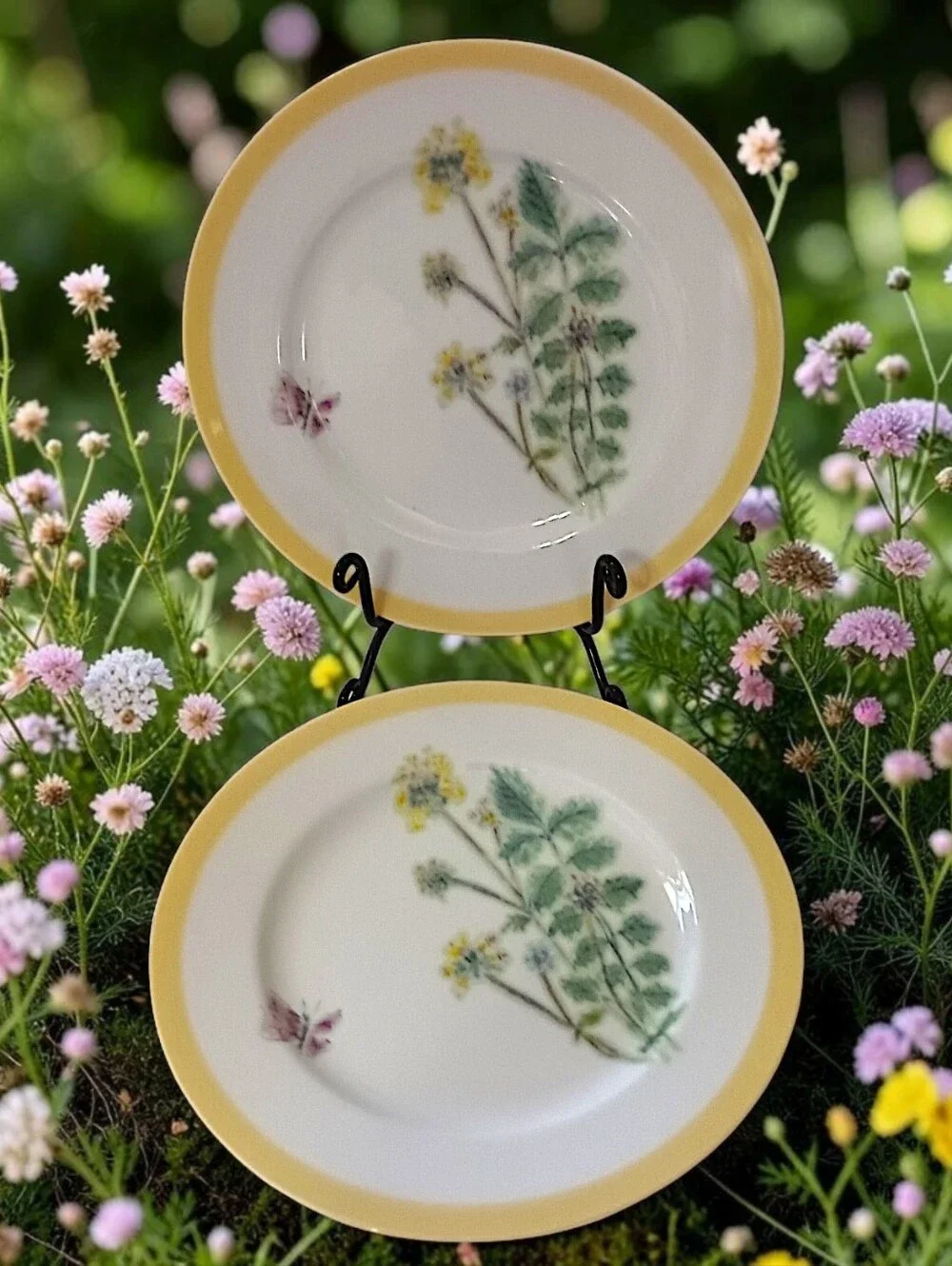2 Williams Sonoma Flowering Herbs Salad Plates Yellow Burnet Purple Butterfly